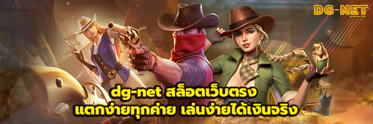 dg-net